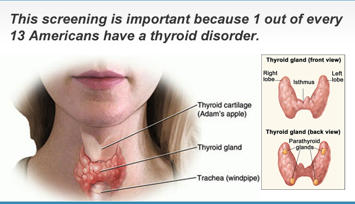 Thyroid Abnormality Screening